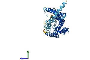 AlphaFold protein structure predicition of Human Recombinant OR8H3 Protein, UniprotID Q8N146 (OR8H3 Protein (AA 1-312) (His tag))