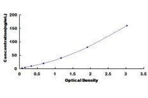ELISA image for Insulin-Like Growth Factor Binding Protein 6 (IGFBP6) ELISA Kit (ABIN414022)