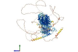 AlphaFold protein structure predicition of Mouse Recombinant Mroh7 Protein, UniprotID A2AVR2