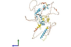 Protein Structure (PS) image for IKAROS Family Zinc Finger 2 (IKZF2) (AA 1-526) protein (His tag) (ABIN7548552)