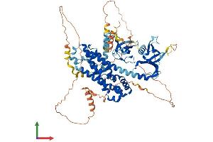 Protein Structure (PS) image for Neuronal Guanine Nucleotide Exchange Factor (NGEF) (AA 1-710) protein (His tag) (ABIN7564588)