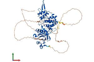 AlphaFold protein structure predicition of Human Recombinant DYRK2 Protein, UniprotID Q92630