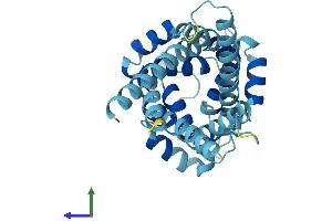 Protein Structure (PS) image for Solute Carrier Family 25, Member 35 (SLC25A35) (AA 1-300) protein (His tag) (ABIN7557549)