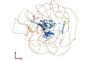 AlphaFold protein structure predicition of Mouse Recombinant Aatk Protein, UniprotID Q80YE4