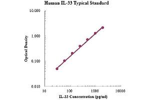 ELISA image for Interleukin 33 (IL33) ELISA Kit (ABIN4993800)
