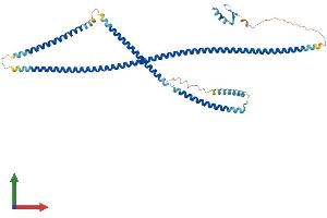 Protein Structure (PS) image for Centrosomal Protein 55kDa (CEP55) (AA 1-464) protein (His tag) (ABIN7553280)