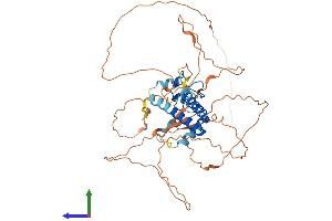 AlphaFold protein structure predicition of Mouse Recombinant Tesmin Protein, UniprotID Q9WTJ6 (MTL5 Protein (AA 1-475) (His tag))