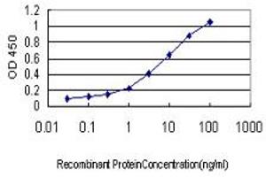 Detection limit for recombinant GST tagged MAPKAPK5 is approximately 0. (MAPKAP Kinase 5 antibody  (AA 371-471))