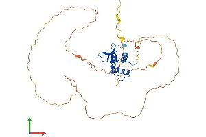 AlphaFold protein structure predicition of Mouse Recombinant Etv2 Protein, UniprotID P41163