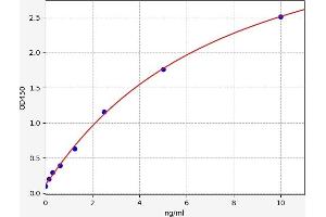 Typical standard curve (RAP1A ELISA Kit)
