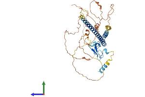 Protein Structure (PS) image for Inhibitor of Growth Family, Member 1 (ING1) (AA 1-422) protein (His tag) (ABIN7548530)