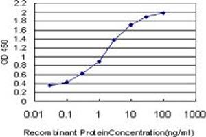 Detection limit for recombinant GST tagged NRBP2 is approximately 0. (NRBP2 antibody  (AA 151-258))