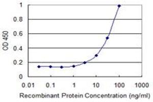 Detection limit for recombinant GST tagged ZNF35 is 1 ng/ml as a capture antibody. (ZNF35 antibody  (AA 1-519))