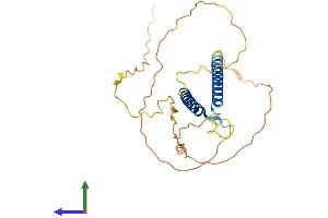 AlphaFold protein structure predicition of Mouse Recombinant Olig1 Protein, UniprotID Q9JKN5