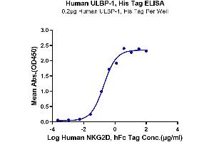 ELISA image for UL16 Binding Protein 1 (ULBP1) (AA 26-215) protein (His-Avi Tag) (ABIN7275817)