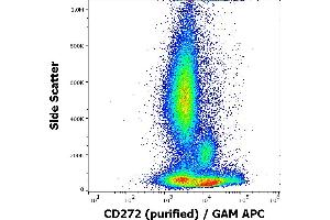 Flow cytometry surface staining pattern of human peripheral whole blood stained using anti-human CD272 (MIH26) purified antibody (concentration in sample 1,7 μg/mL, GAM APC). (BTLA antibody)
