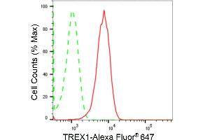 anti-three Prime Repair Exonuclease 1 (TREX1) antibody