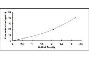 Typical standard curve (ERK1 ELISA Kit)