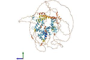 AlphaFold protein structure predicition of Mouse Recombinant Nrif2 Protein, UniprotID Q921B4 (Zfp369/Nrif2 Protein (AA 1-824) (His tag))