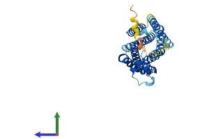 Protein Structure (PS) image for MAS1 Oncogene (MAS1) (AA 1-325) protein (His tag) (ABIN7549179)