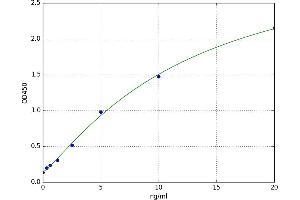 Activin A Receptor, Type IIA (ACVR2A) ELISA Kit