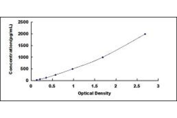 CHI3L1 ELISA Kit