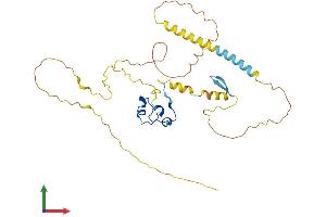 AlphaFold protein structure predicition of Human Recombinant CXXC5 Protein, UniprotID Q7LFL8