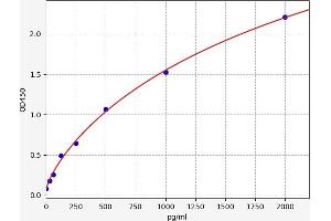 Asialoglycoprotein Receptor 1 ELISA Kit