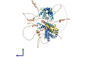 AlphaFold protein structure predicition of Mouse Recombinant Rin2 Protein, UniprotID Q9D684 (RIN2 Protein (AA 1-903) (His tag))