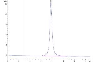 The purity of Human Neuropilin-1 is greater than 95 % as determined by SEC-HPLC. (Neuropilin 1 Protein (NRP1) (AA 22-644) (His tag))