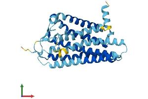 AlphaFold protein structure predicition of Human Recombinant OR52E1 Protein, UniprotID Q8NGJ3 (OR52E1 Protein (AA 1-308) (His tag))