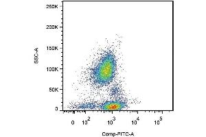 Surface staining of human peripheral blood cells with anti-human CD162 (clone TC2). (SELPLG antibody  (APC))