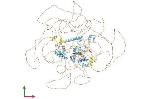 AlphaFold protein structure predicition of Human Recombinant ZNF644 Protein, UniprotID Q9H582 (ZNF644 Protein (AA 1-1327) (His tag))