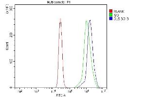 Flow Cytometry analysis of U937 cells using anti-Glutaminase/GLS antibody (ABIN7601601). (Glutaminase antibody  (AA 396-654))