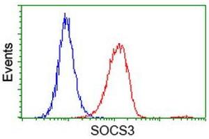Flow cytometric Analysis of Hela cells, using anti-SOCS3 antibody (ABIN2454685), (Red), compared to a nonspecific negative control antibody, (Blue). (SOCS3 antibody)