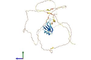 Protein Structure (PS) image for RNA Binding Motif Protein, X-Linked-Like 1 (RBMXL1) (AA 1-390) protein (His tag) (ABIN7551505)