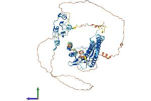 AlphaFold protein structure predicition of Human Recombinant CXXC1 Protein, UniprotID Q9P0U4