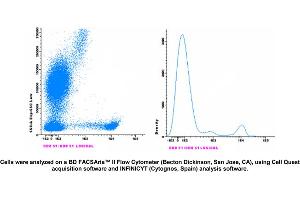 Image no. 1 for anti-CD8 (CD8) antibody (CF405M) (ABIN1112231) (CD8 antibody  (CF405M))