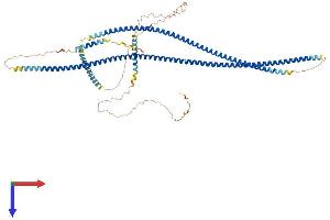 AlphaFold protein structure predicition of Human Recombinant GOLGA6C Protein, UniprotID A6NDK9 (GOLGA6C Protein (AA 1-693) (His tag))