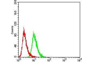 Flow cytometric analysis of Hela cells using VEGFA mouse mAb (green) and negative control (red).