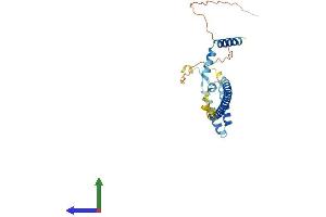 Protein Structure (PS) image for Centromere Protein Q (CENPQ) (AA 1-268) protein (His tag) (ABIN7553235)