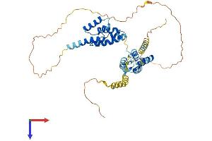 AlphaFold protein structure predicition of Human Recombinant ZCCHC18 Protein, UniprotID P0CG32