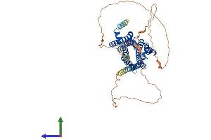 AlphaFold protein structure predicition of Human Recombinant CHRM5 Protein, UniprotID P08912