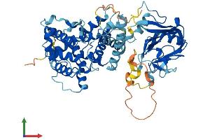 Protein Structure (PS) image for TBC1 Domain Family, Member 24 (TBC1D24) (AA 1-561) protein (His tag) (ABIN7557288)