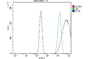 Flow Cytometry analysis of Caco-2 cells using anti-IFT43 antibody (ABIN7599083). (IFT43 antibody  (AA 1-208))