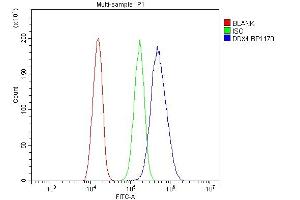 Flow Cytometry analysis of SiHa cells using anti-DDX4 antibody (ABIN7601203). (DDX4 antibody  (AA 3-666))