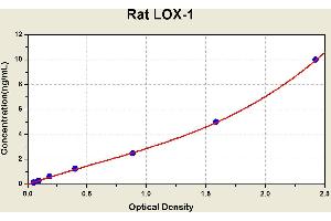 Diagramm of the ELISA kit to detect Rat LOX-1with the optical density on the x-axis and the concentration on the y-axis.