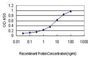 Detection limit for recombinant GST tagged GUCY2D is approximately 0. (GUCY2D antibody  (AA 521-630))