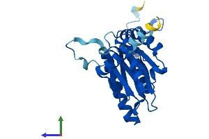 AlphaFold protein structure predicition of Mouse Recombinant Psma8 Protein, UniprotID Q9CWH6