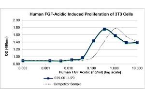 SDS-PAGE (SDS) image for Fibroblast Growth Factor 1 (Acidic) (FGF1) protein (ABIN6699829)